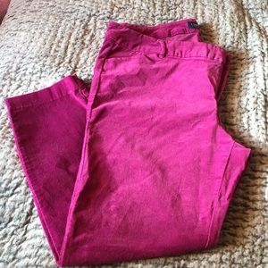 Bright pink pixie pants
